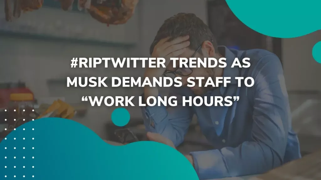 Rip Twitter Trend As Musk Demands Staff To Work Long Hours | OneVA Hub